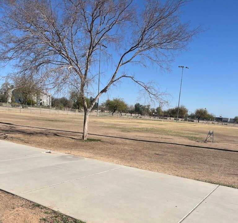 Soccer Field image 3