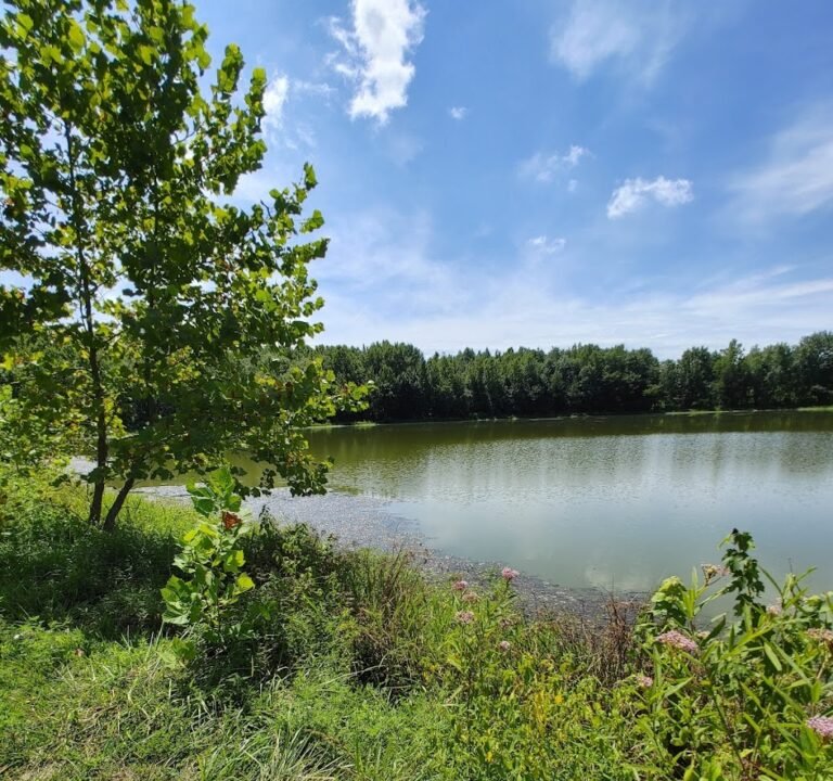 Soccer Field image 2