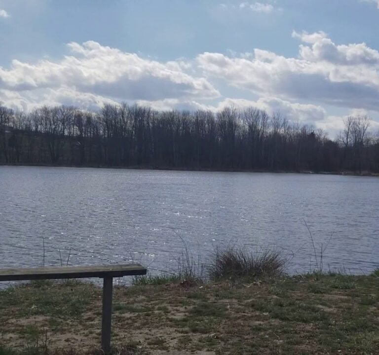 Soccer Field image 4