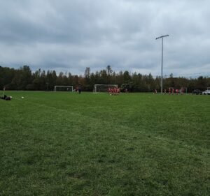 Soccer Field image 2