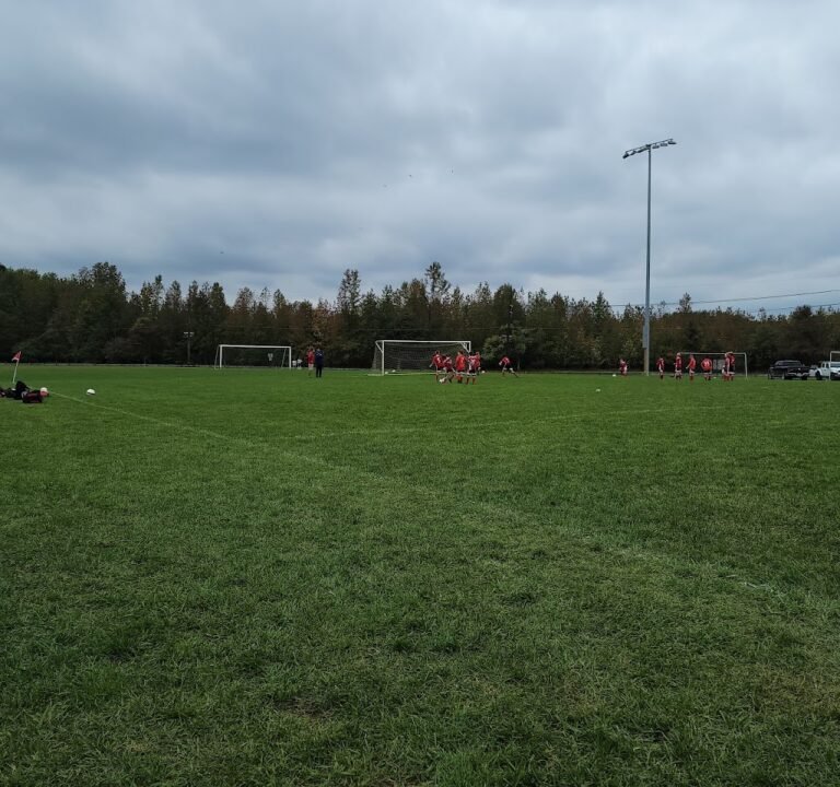 Soccer Field image 2