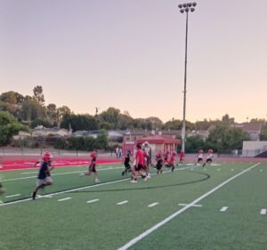Soccer Field image 2