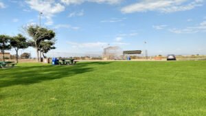 Soccer Field image 1
