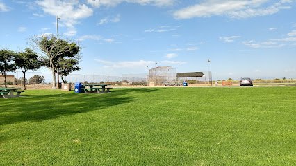 Soccer Field image 1