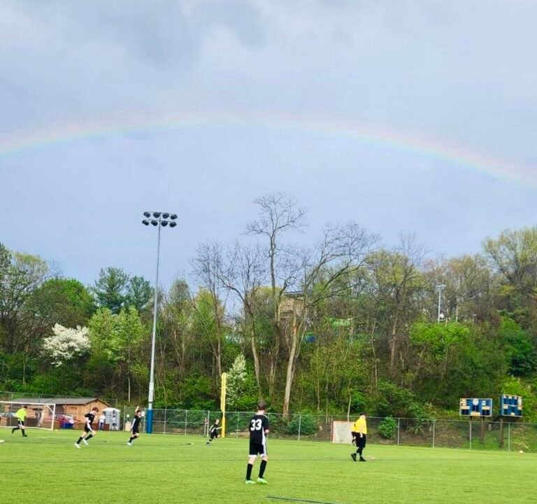 Soccer Field image 2