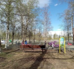 Soccer Field image 2