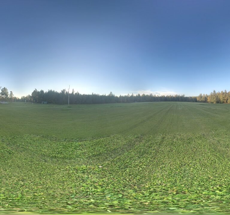 Soccer Field image 3