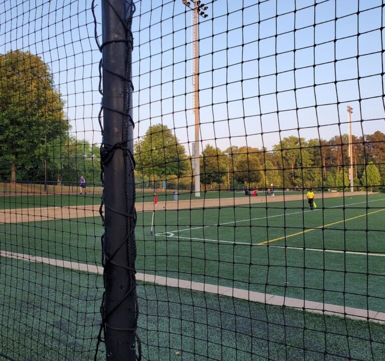 Soccer Field image 2