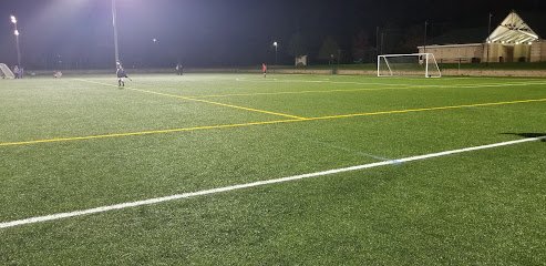 Soccer Field image 1