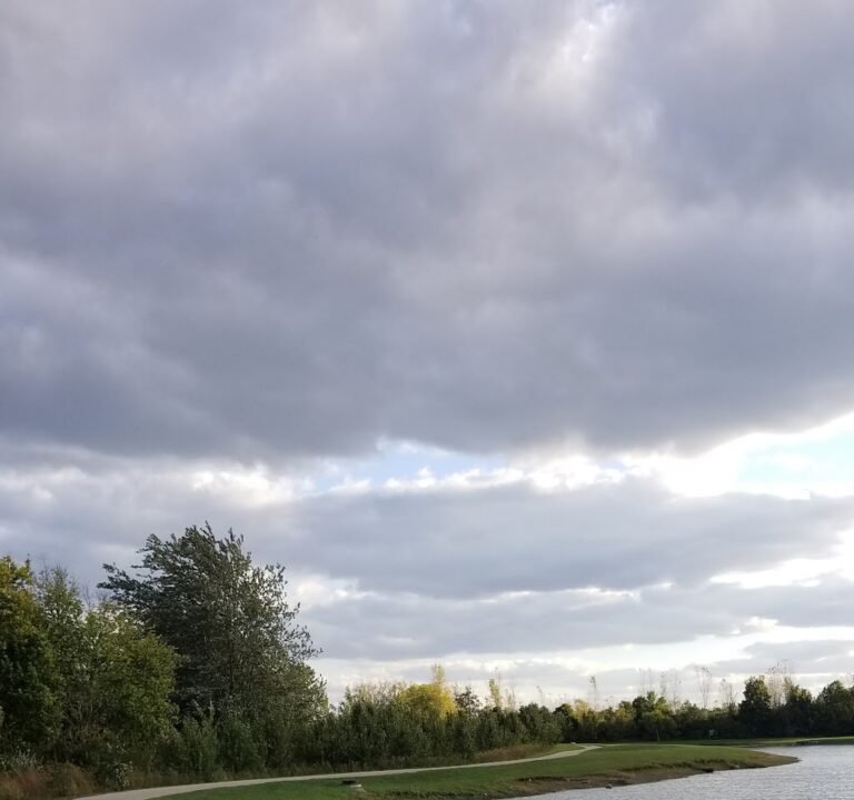 Soccer Field image 2