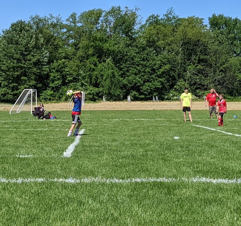 Soccer Field image 2