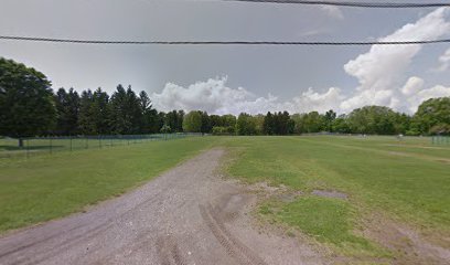 Soccer Field image 1