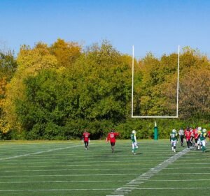 Soccer Field image 2