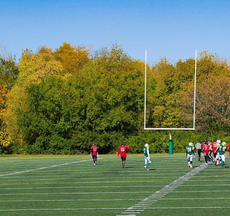 Soccer Field image 2