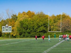 Soccer Field image 1