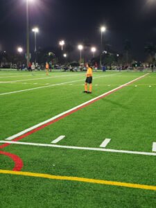Soccer Field image 1