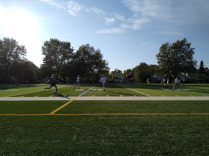 Soccer Field image 1