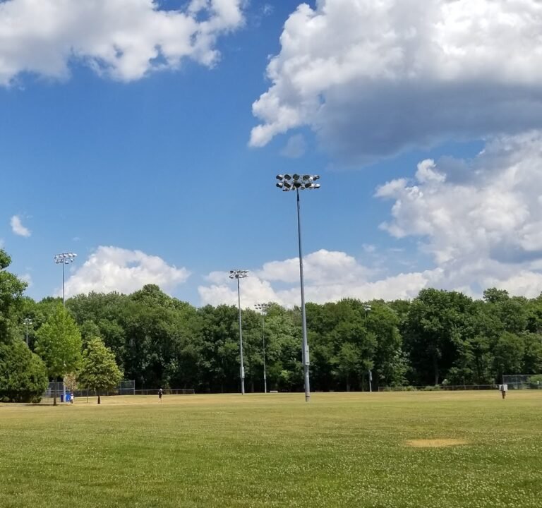 Soccer Field image 2