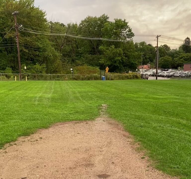 Soccer Field image 2