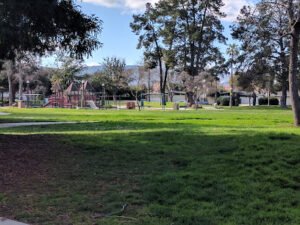 Soccer Field image 1