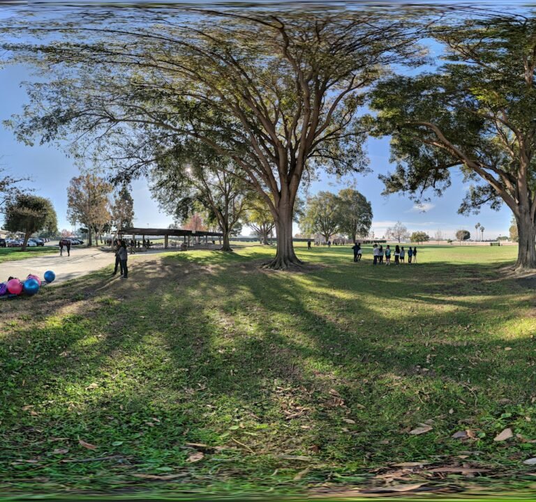 Soccer Field image 3