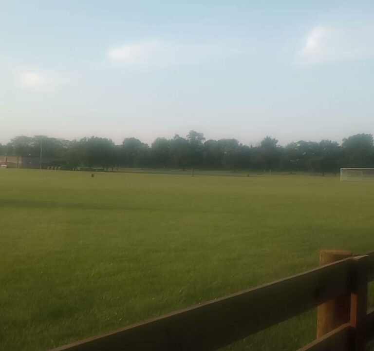Soccer Field image 4