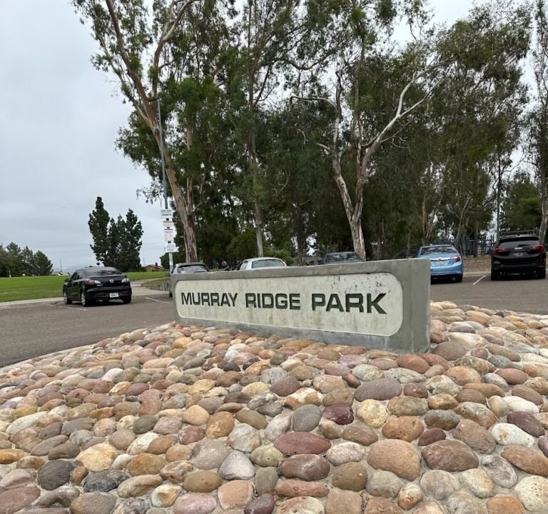 Soccer Field image 2