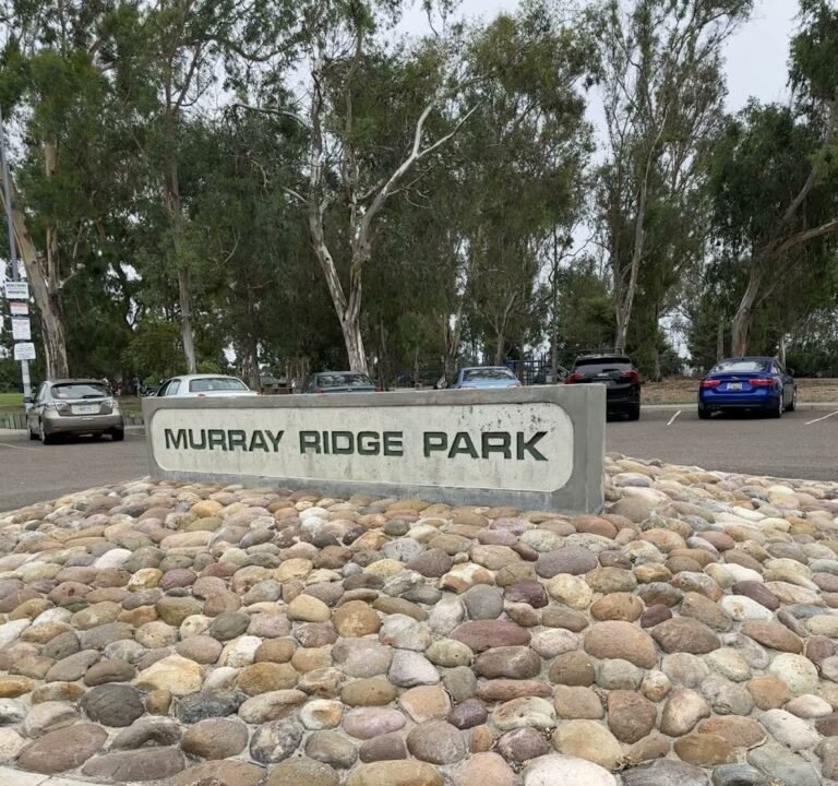 Soccer Field image 4