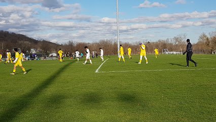 Soccer Field image 1