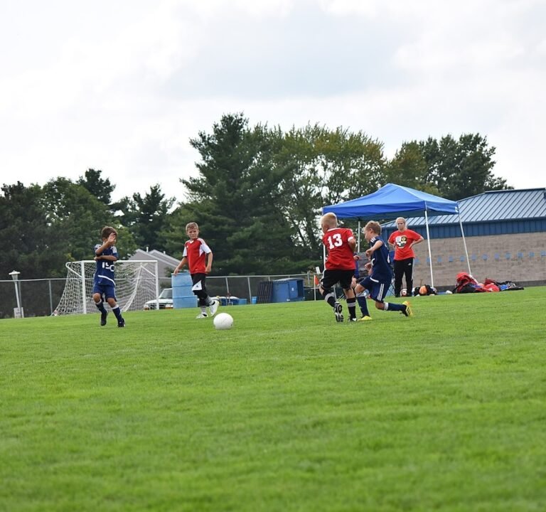 Soccer Field image 3