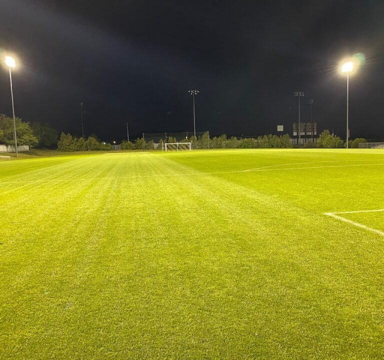 Soccer Field image 2