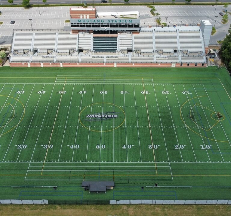 Soccer Field image 2
