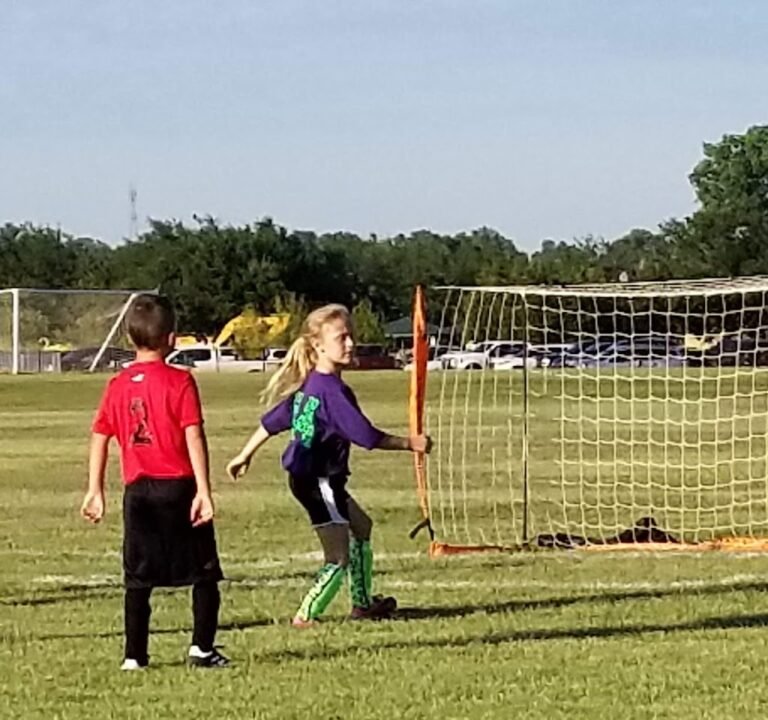 Soccer Field image 3