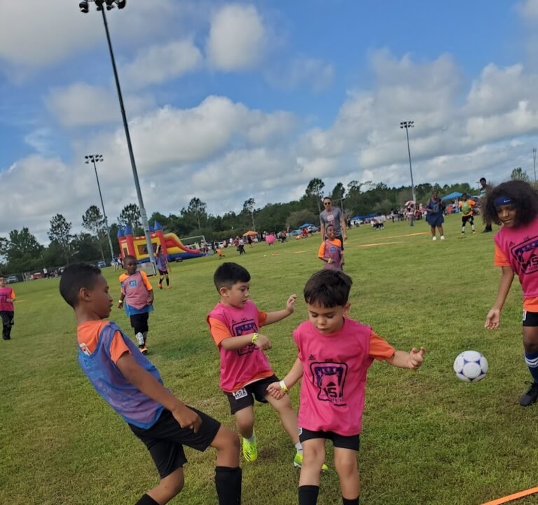 Soccer Field image 2