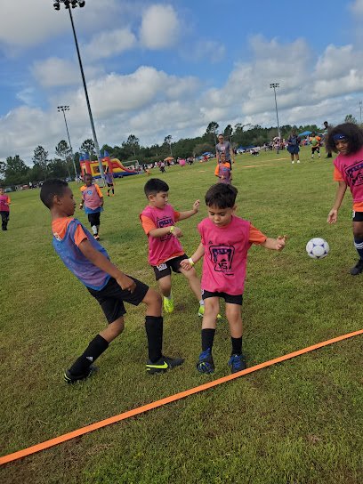 Soccer Field image 1