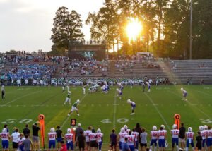 Soccer Field image 1