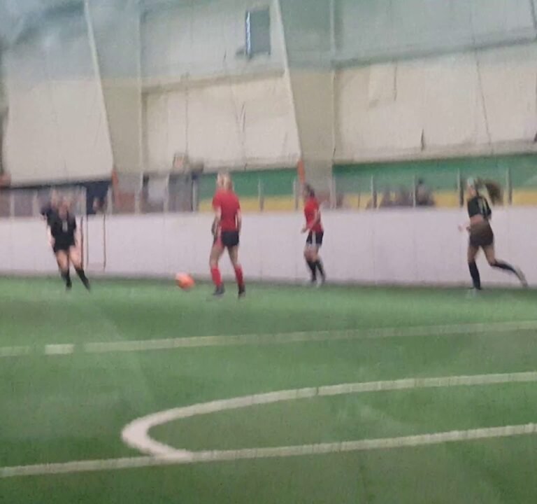 Soccer Field image 4