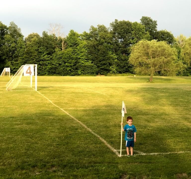 Soccer Field image 2