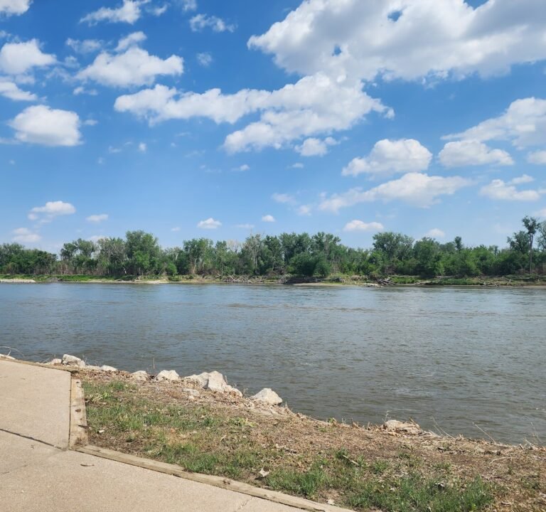 Soccer Field image 2