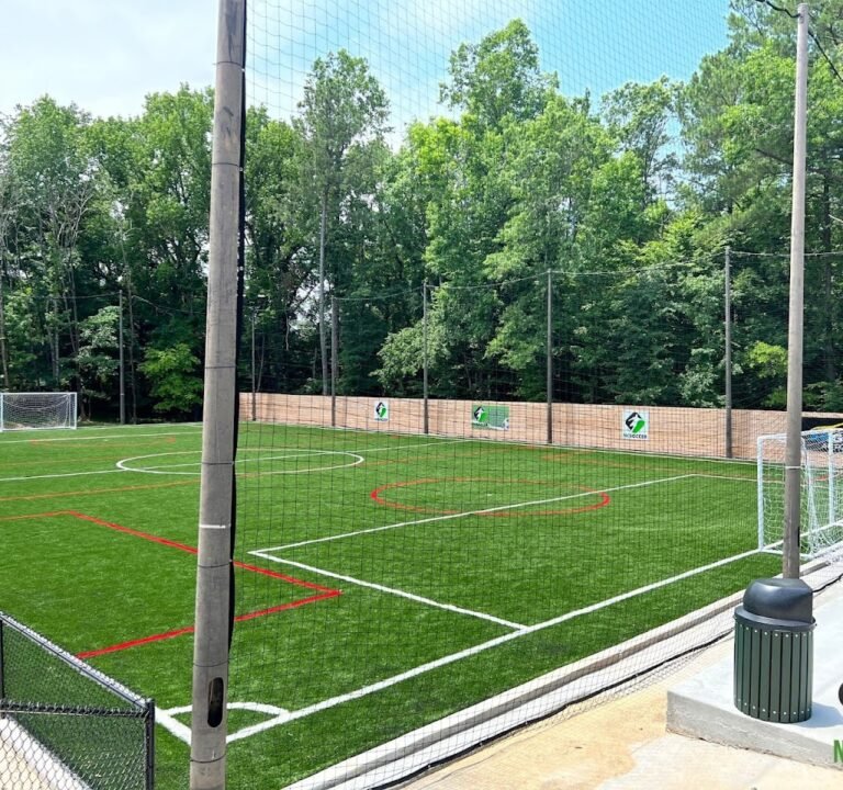 Soccer Field image 2