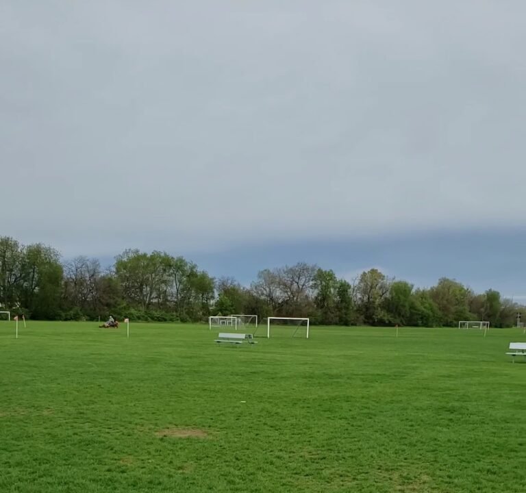 Soccer Field image 2