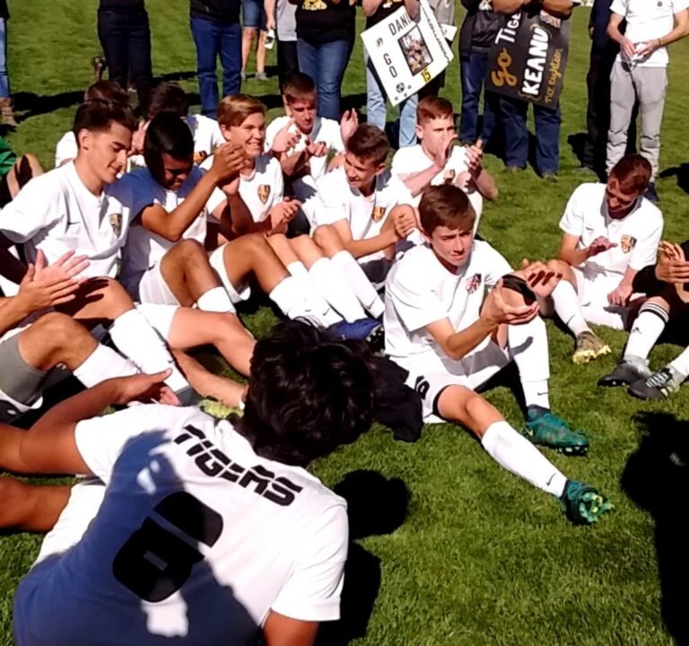 Soccer Field image 4