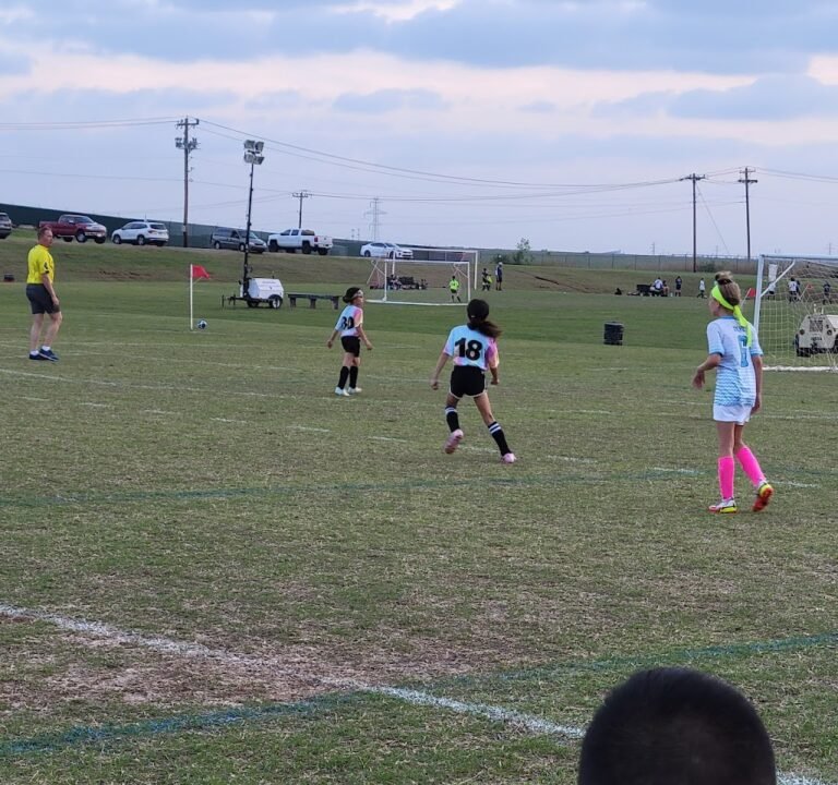 Soccer Field image 3