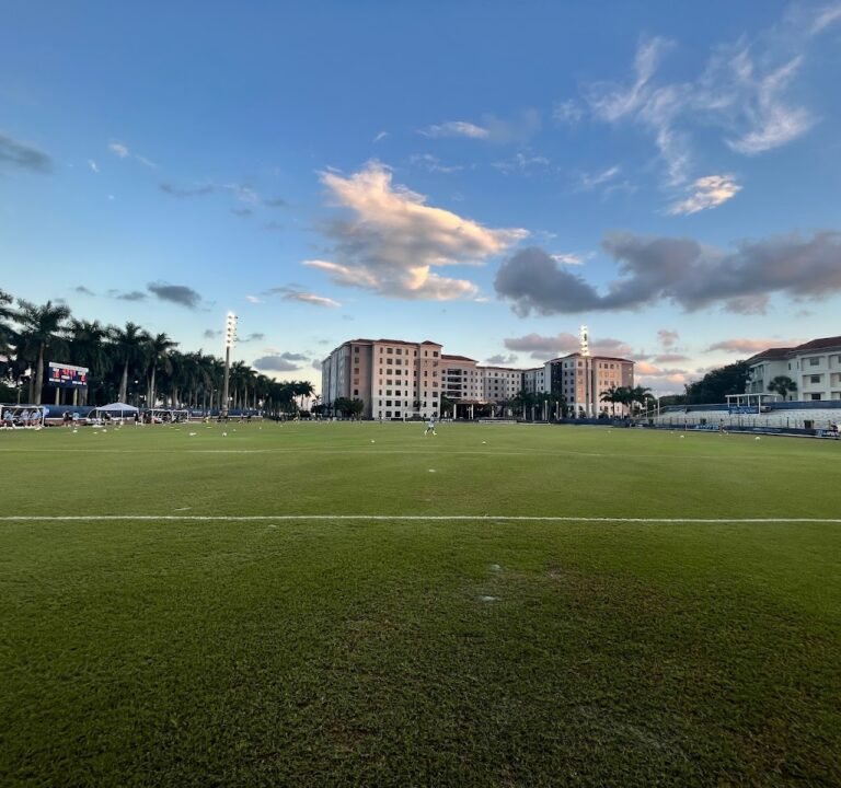 Soccer Field image 2