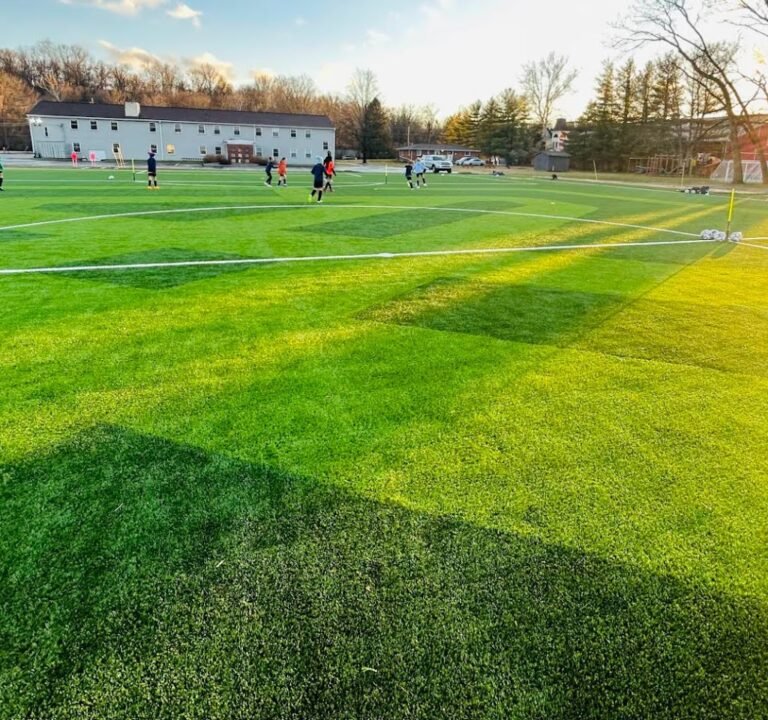 Soccer Field image 2