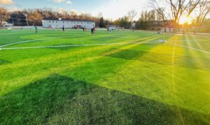 Soccer Field image 1