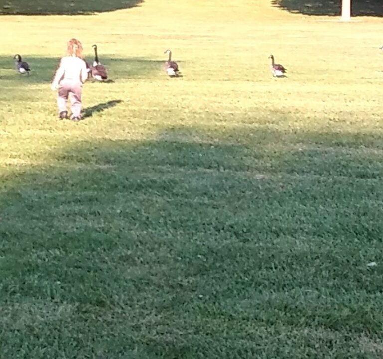 Soccer Field image 3