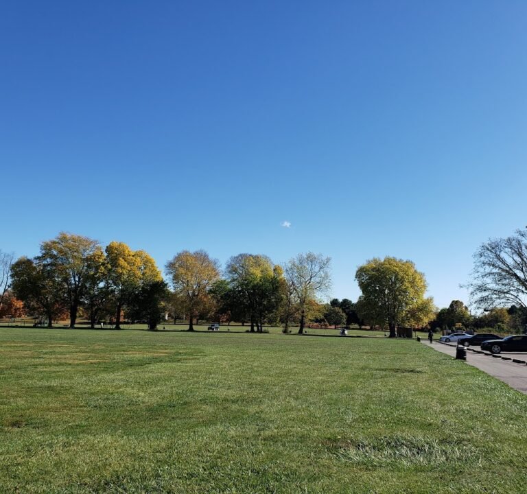 Soccer Field image 2