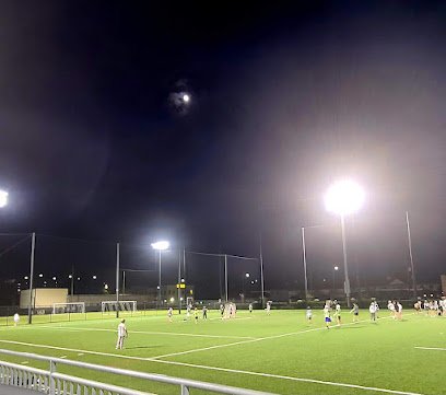 Soccer Field image 1