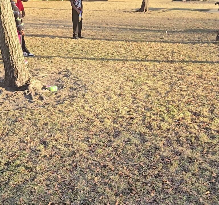 Soccer Field image 3